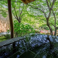 佐賀県武雄温泉 竹林亭写真